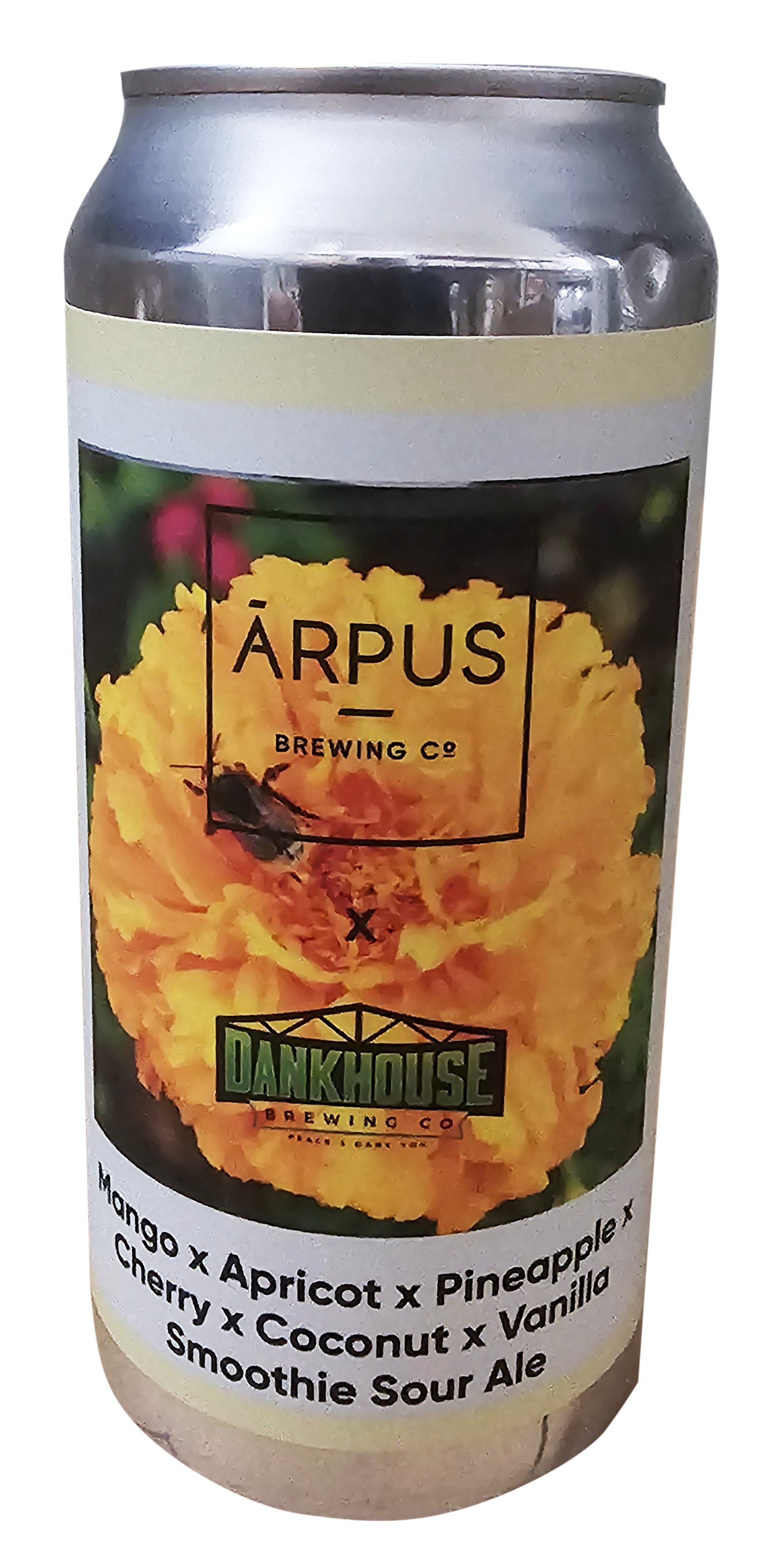 ארפוס ARPUS x DANKHOUSE Smoothie Sour Ale (חסר במלאי)
