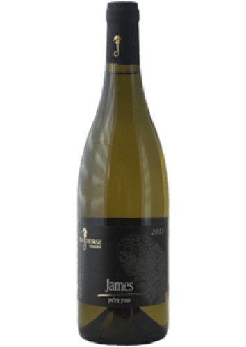 סוסון ים ג'יימס 