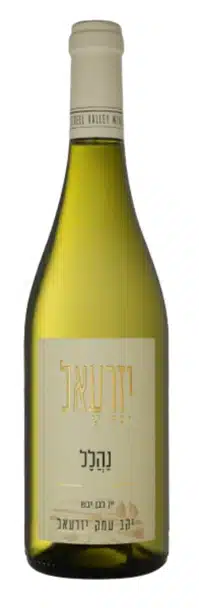 עמק יזרעאל נהלל לבן